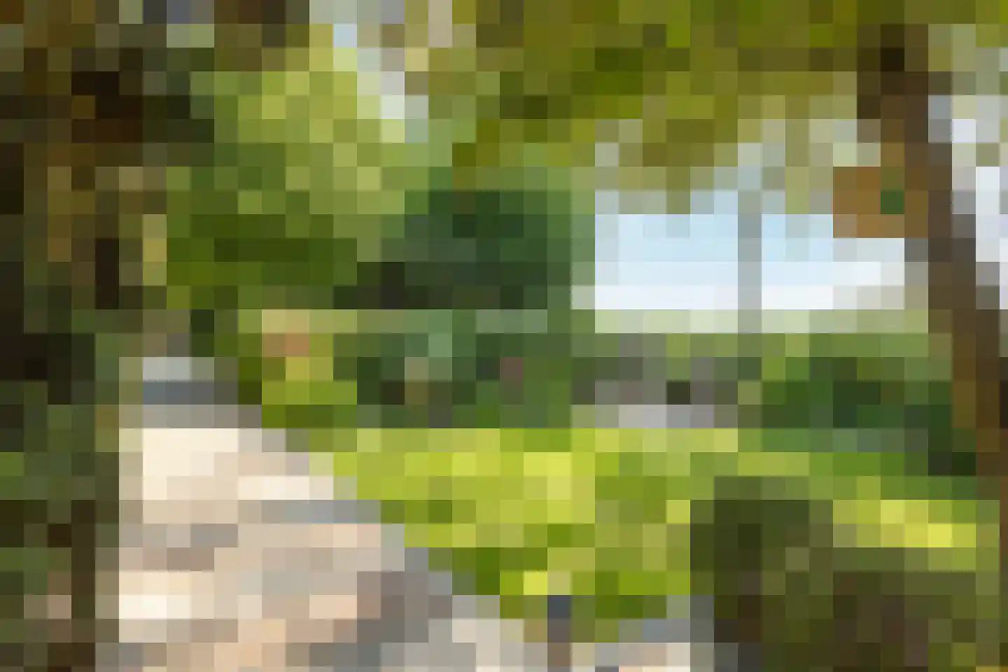 Kaagweg 21 Abbenes thumbnail 75