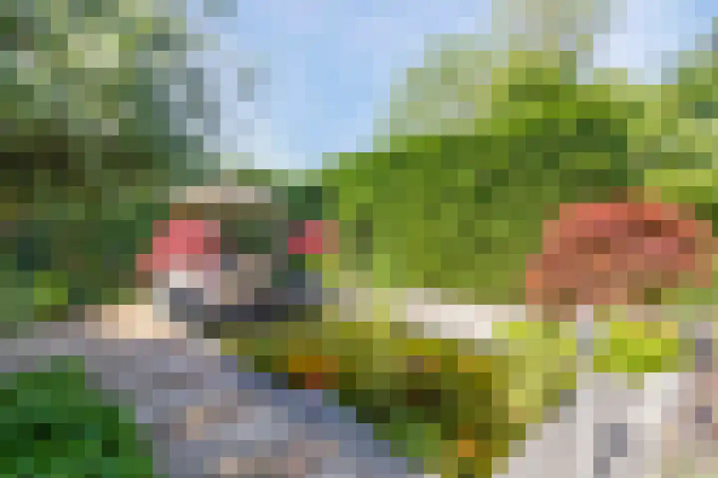 Kaagweg 21 Abbenes thumbnail 77