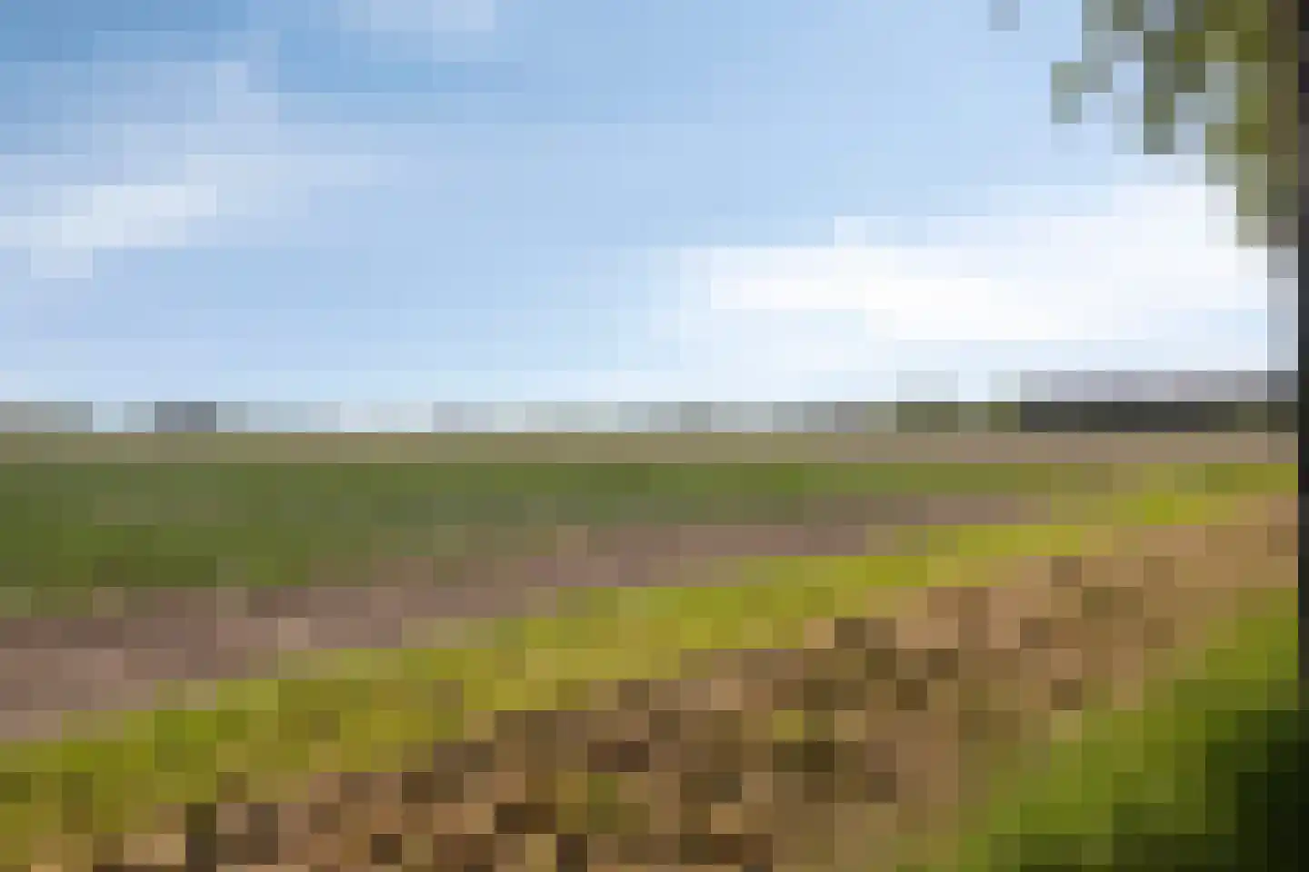Kaagweg 21 Abbenes thumbnail 79