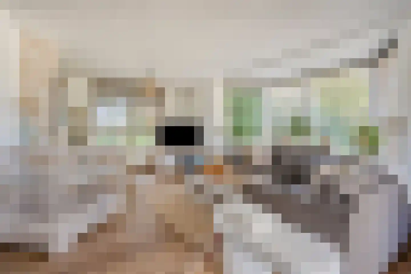 Kaagweg 21 Abbenes thumbnail 8