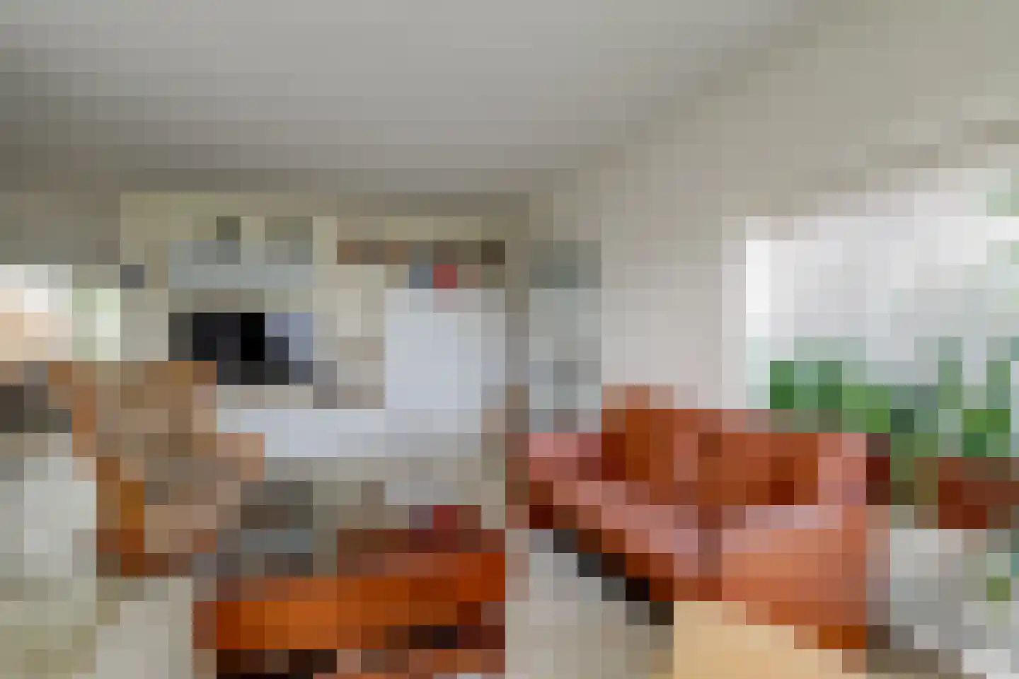 Kaagweg 3 Wervershoof thumbnail 11
