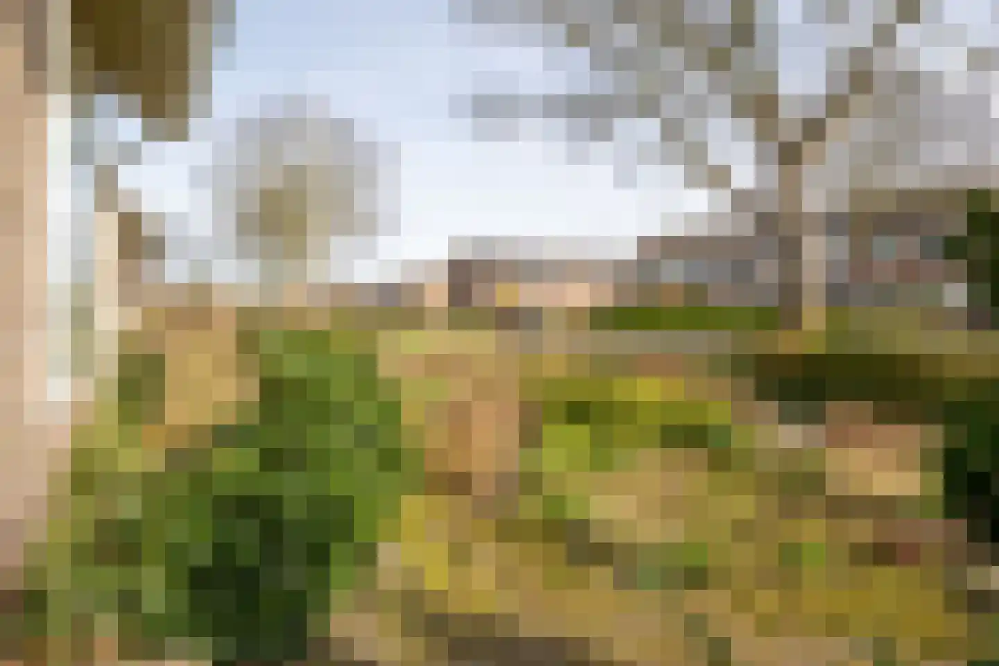 Kaagweg 3 Wervershoof thumbnail 26