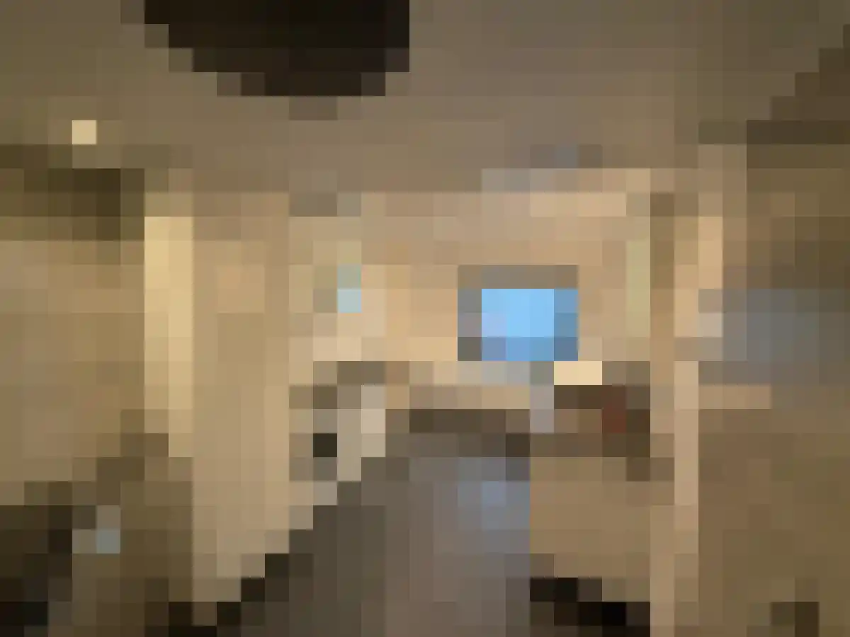Kaagweg 33 Abbenes thumbnail 4