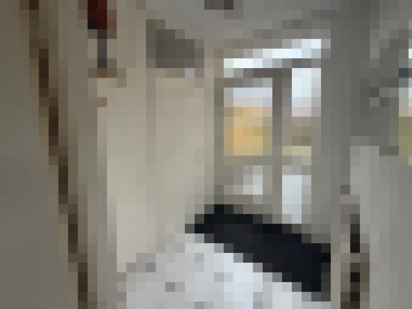 Kaagweg 68 Wervershoof thumbnail 8