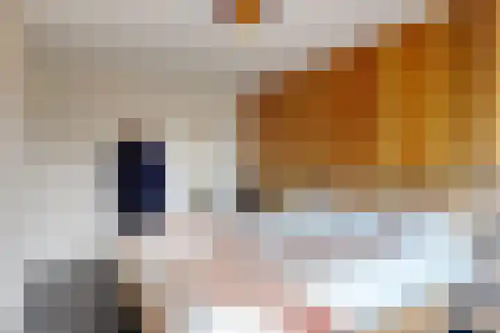 Kaagweg 82 Wervershoof thumbnail 14