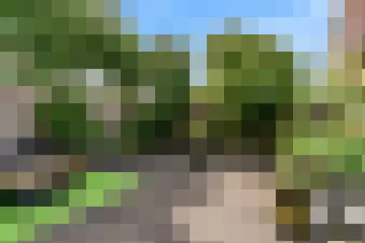 Kaagweg 82 Wervershoof thumbnail 27