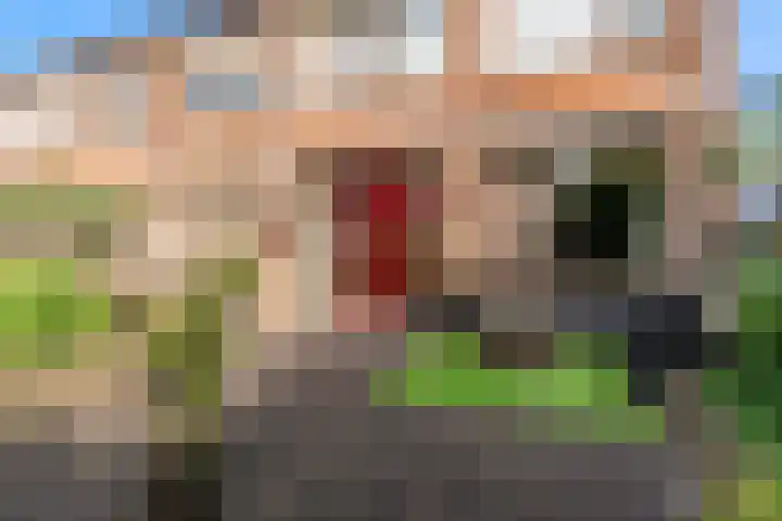 Kaagweg 82 Wervershoof thumbnail 30