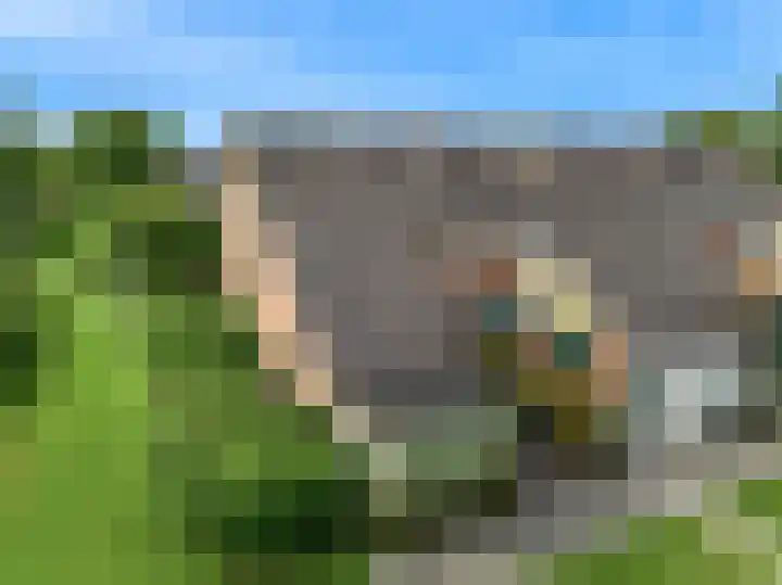 Kaagweg 82 Wervershoof thumbnail 35