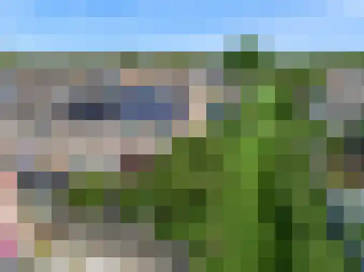 Kaagweg 82 Wervershoof thumbnail 4