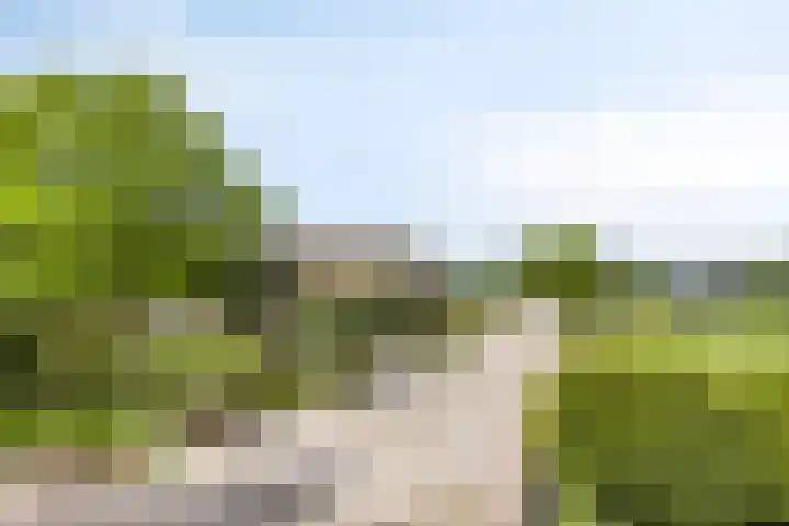 Kaagweg 85 in Abbenes