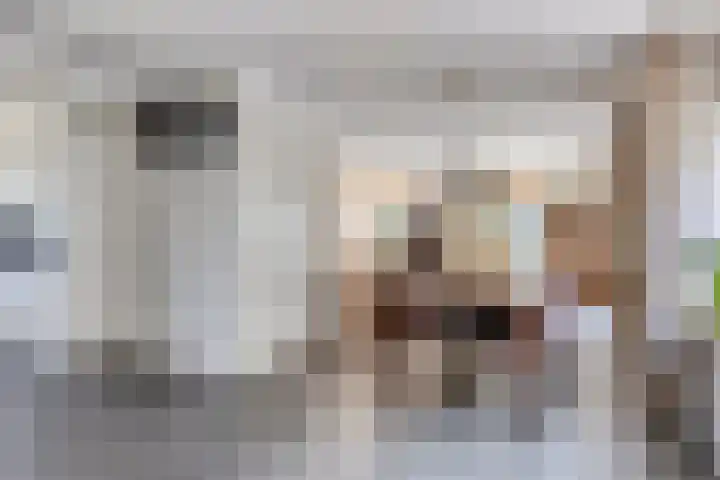 Kaagweg 85 Abbenes thumbnail 10