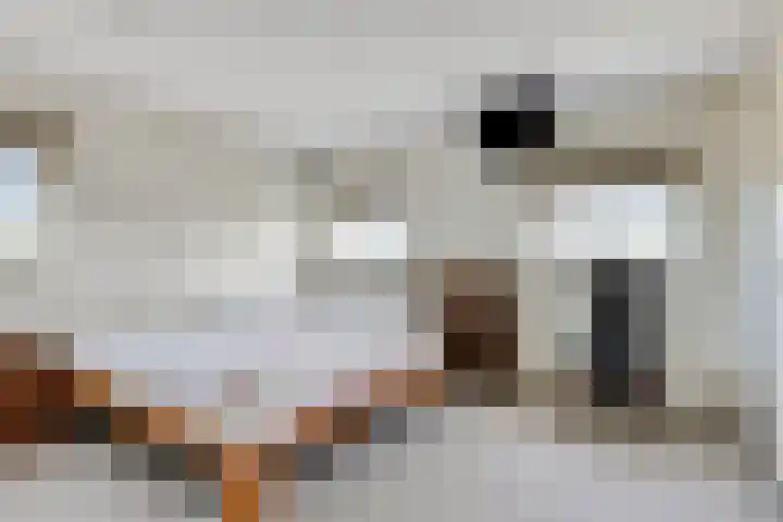 Kaagweg 85 Abbenes thumbnail 17