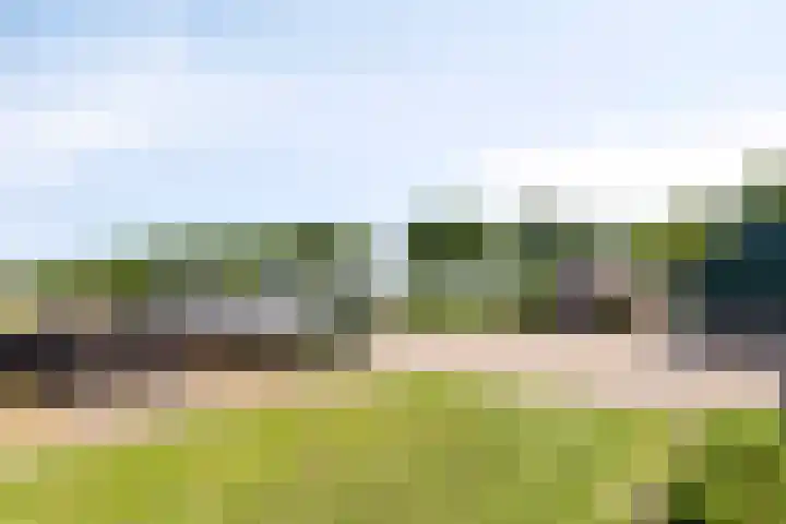 Kaagweg 85 Abbenes thumbnail 39