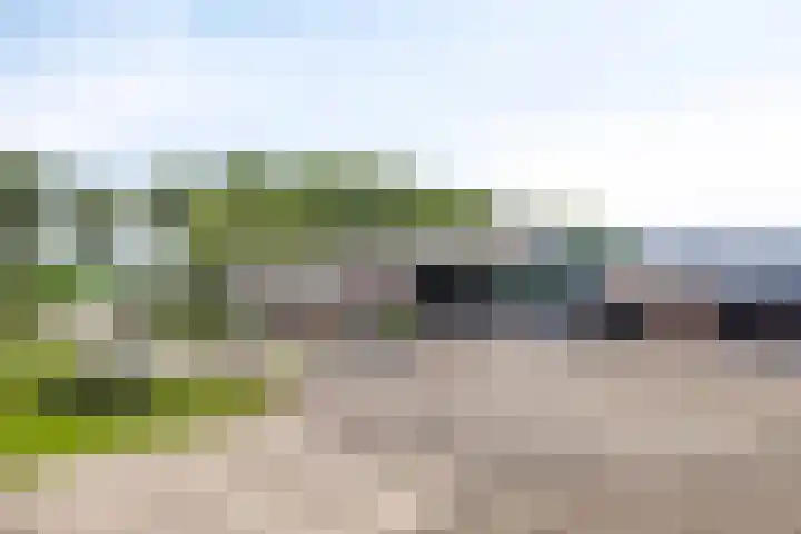 Kaagweg 85 Abbenes thumbnail 4