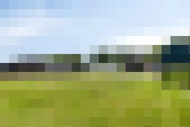 Kaagweg 85 Abbenes thumbnail 40