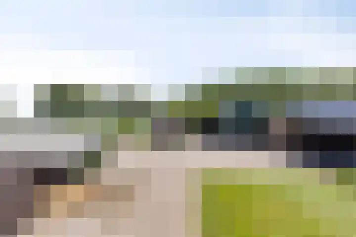 Kaagweg 85 Abbenes thumbnail 41