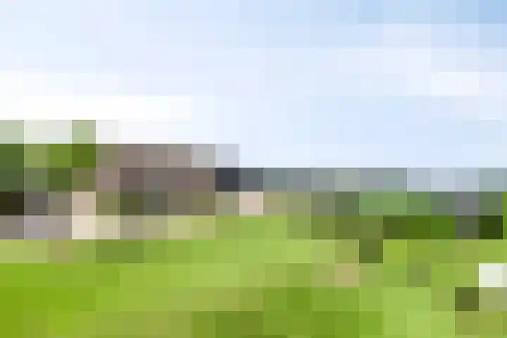 Kaagweg 85 Abbenes thumbnail 42