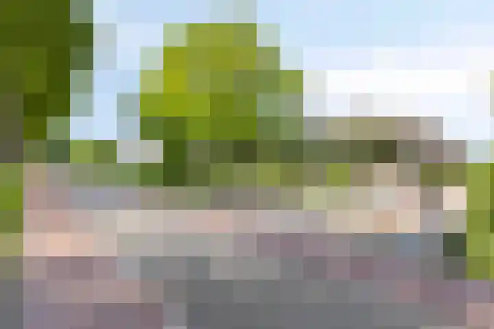 Kaagweg 85 Abbenes thumbnail 44