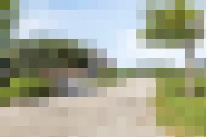 Kaagweg 85 Abbenes thumbnail 5