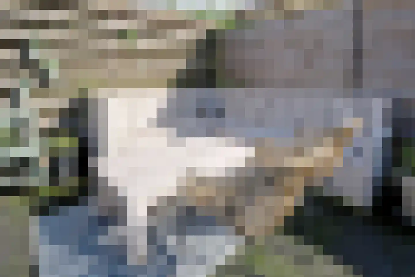 Kaagweg 86 Wervershoof thumbnail 21