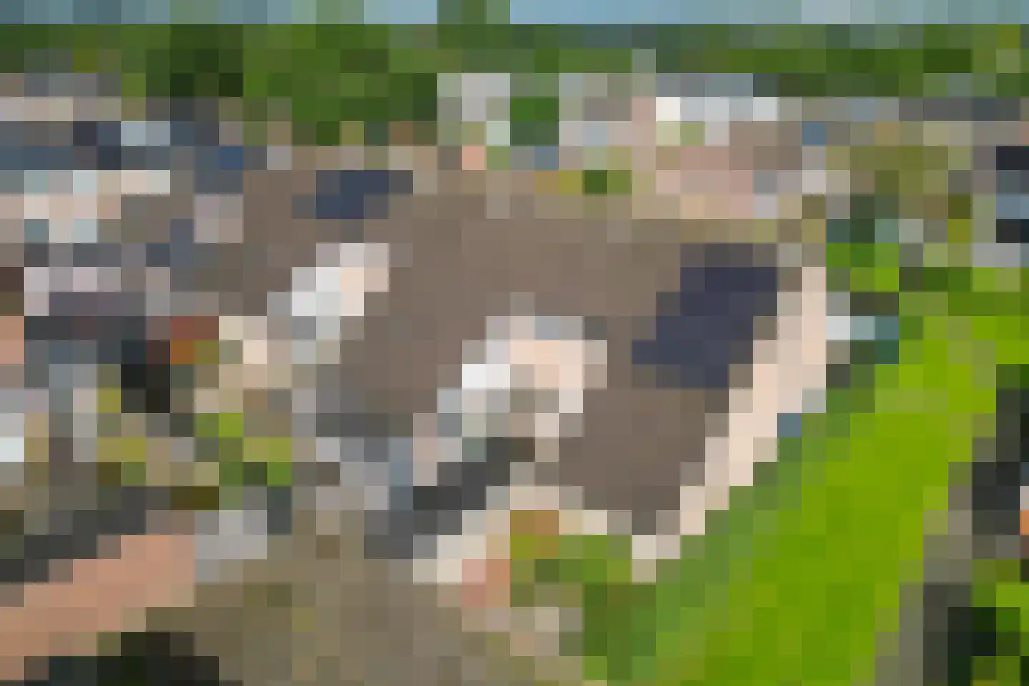 Kaagweg 86 Wervershoof thumbnail 6