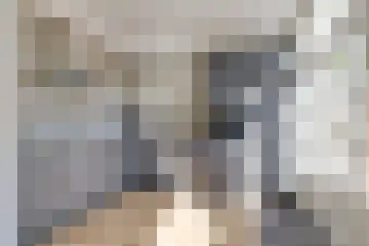 Kaagweg 94 Wervershoof thumbnail 10