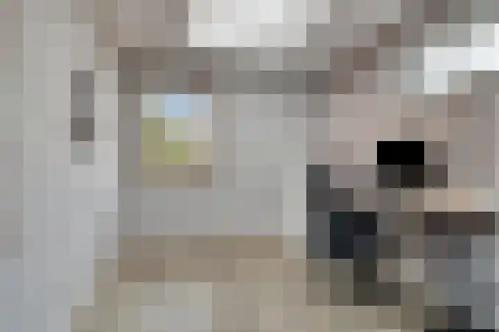 Kaagweg 94 Wervershoof thumbnail 11