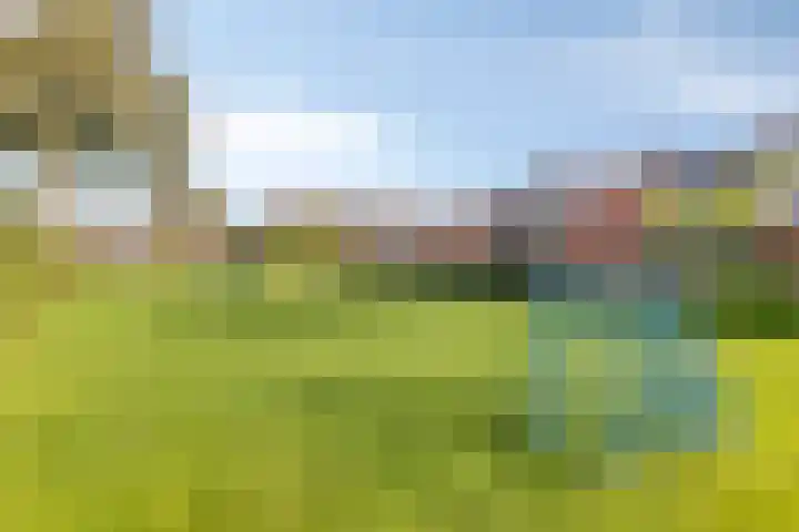 Kaagweg 94 Wervershoof thumbnail 29