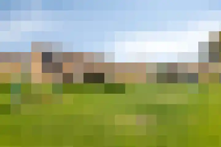 Kaagweg 94 Wervershoof thumbnail 30