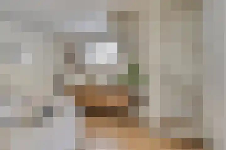 Kaagweg 94 Wervershoof thumbnail 7