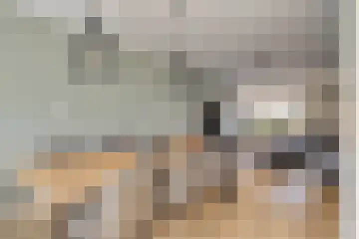 Kaagweg 94 Wervershoof thumbnail 9