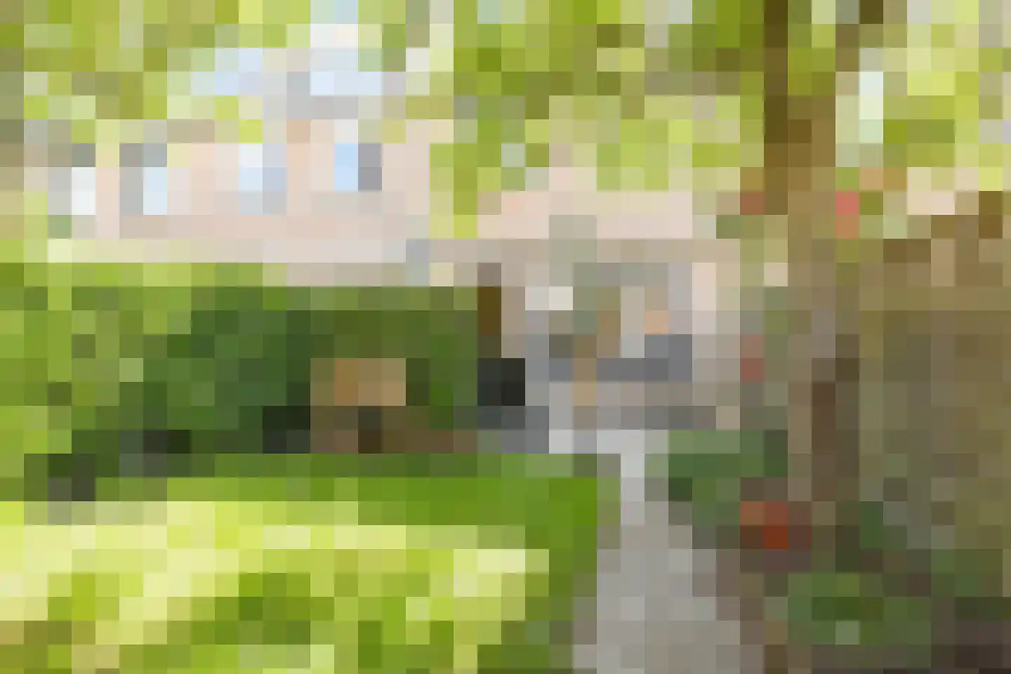 Kaagwerf 14 Gouda thumbnail 17