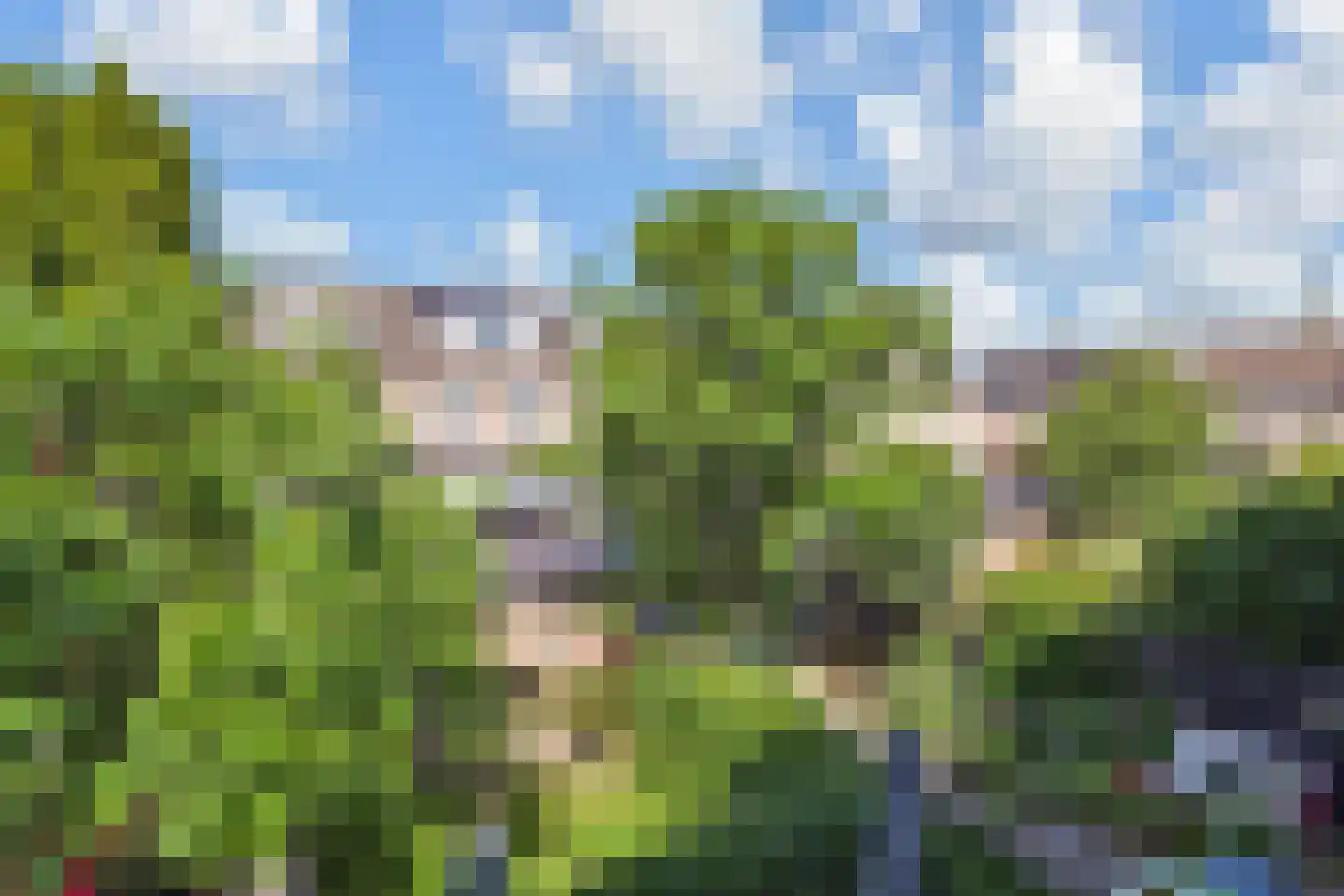 Kaagwerf 14 Gouda thumbnail 41