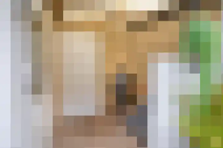 Kaagwerf 24 Gouda thumbnail 16