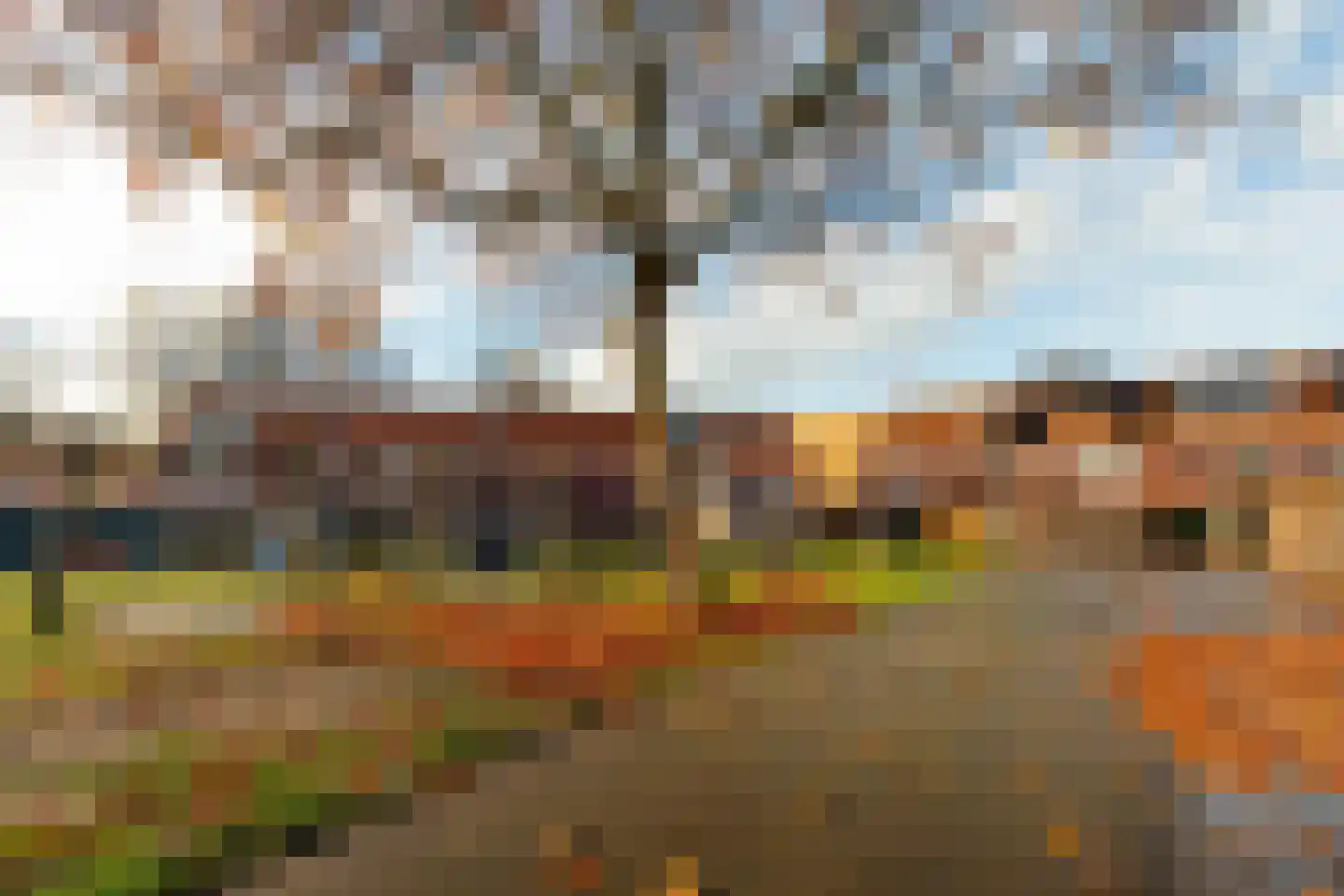 Kaagwerf 24 Gouda thumbnail 17