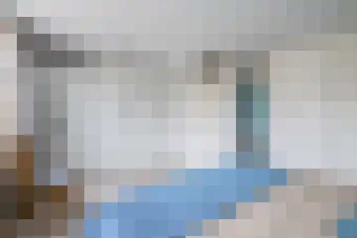 Kaagwerf 24 Gouda thumbnail 21