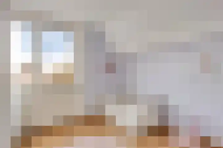 Kaagwerf 24 Gouda thumbnail 24