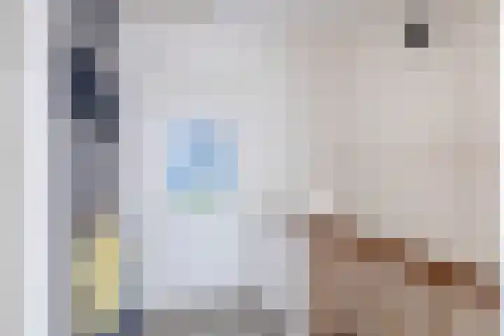 Kaagwerf 24 Gouda thumbnail 29