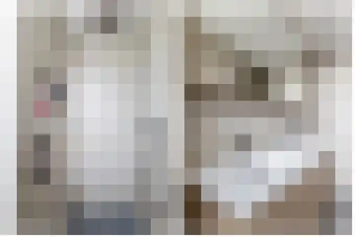 Kaagwerf 24 Gouda thumbnail 4