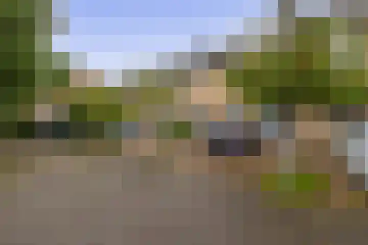Kaagwerf 24 Gouda thumbnail 5