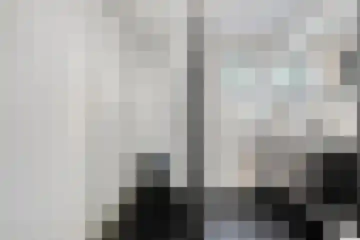 Kaagwerf 24 Gouda thumbnail 8