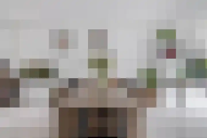 Kaagwerf 24 Gouda thumbnail 8