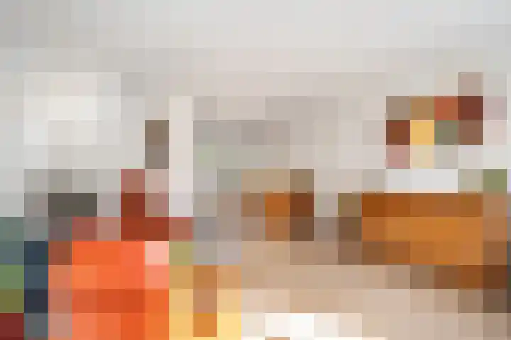 Kaagwerf 4 Gouda thumbnail 12