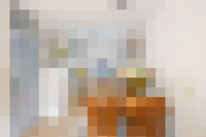 Kaagwerf 4 Gouda thumbnail 13