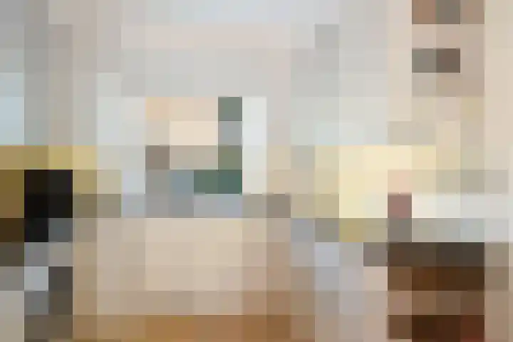 Kaagwerf 4 Gouda thumbnail 14