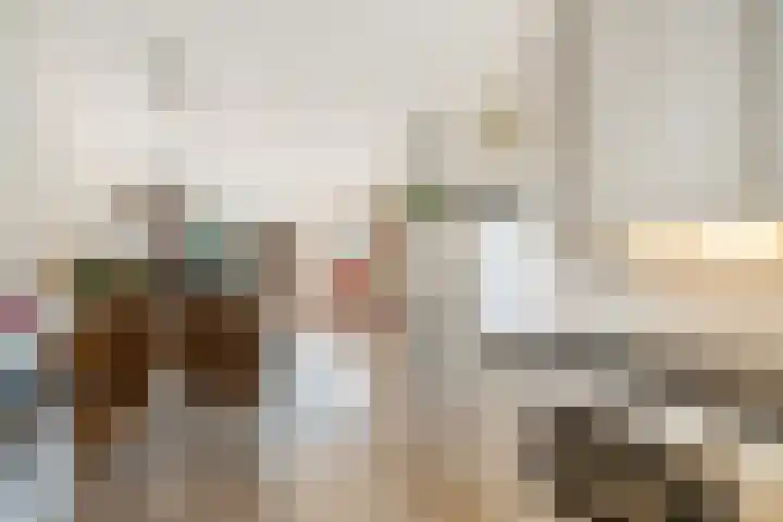 Kaagwerf 4 Gouda thumbnail 15