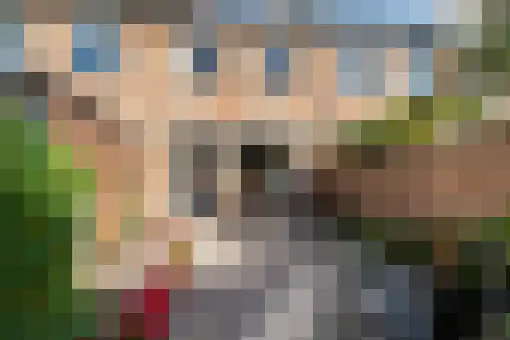 Kaagwerf 4 Gouda thumbnail 16