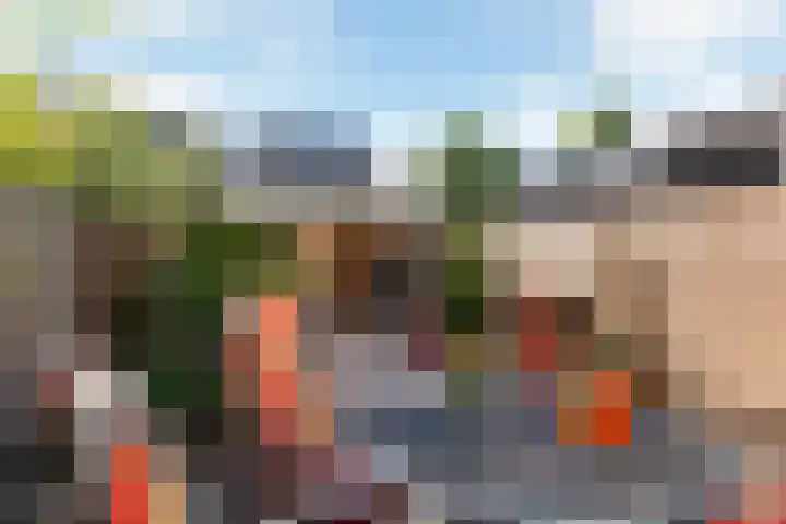 Kaagwerf 4 Gouda thumbnail 17