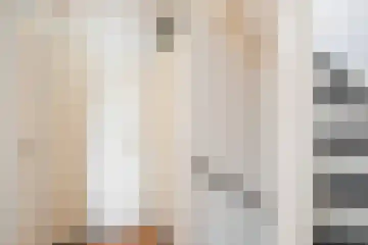 Kaagwerf 4 Gouda thumbnail 18