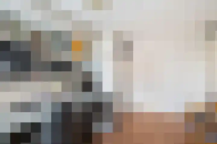 Kaagwerf 4 Gouda thumbnail 22